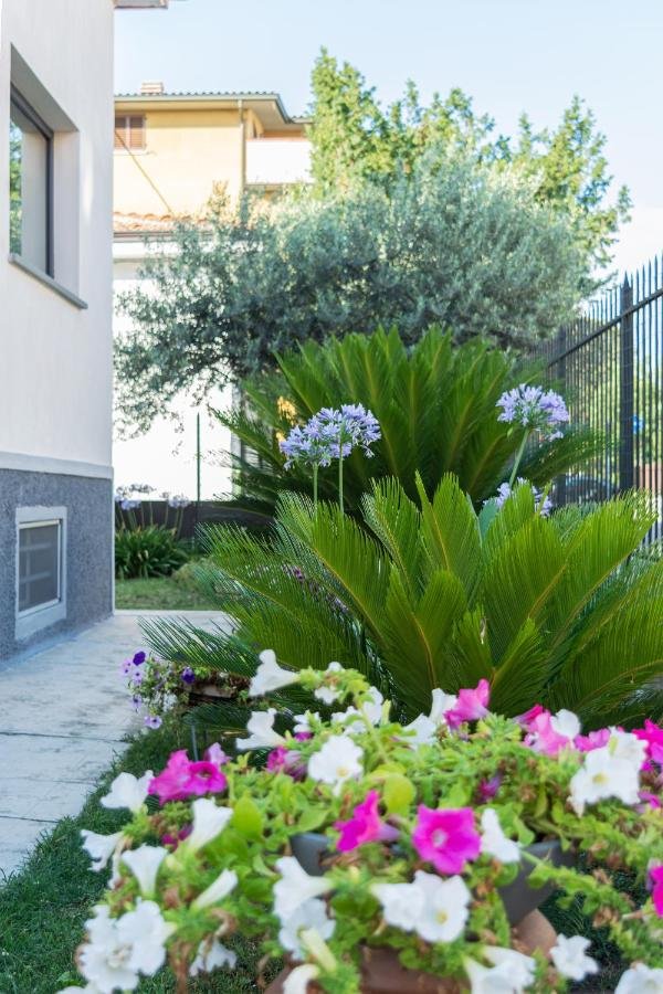 Fioriture di agapanti e petunie nel giardino privato